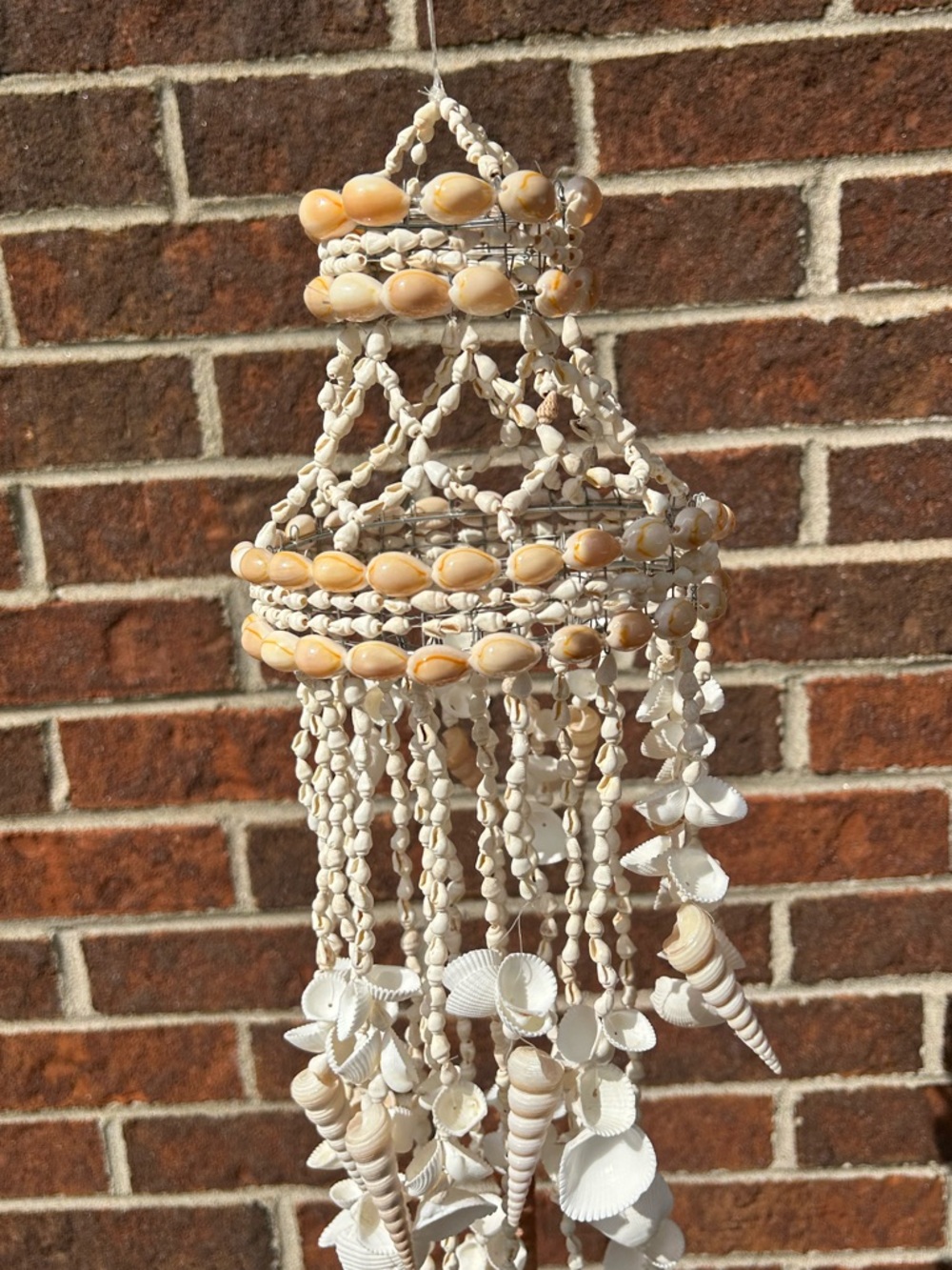 Shell chandelier - Picture 2 of 16